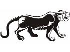  Cats Big Lions Tigers Panthers 0 5 2 Decal