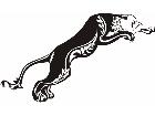  Cats Big Lions Tigers Panthers 0 5 3 Decal