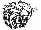  Cats Big Lions Tigers Panthers 0 5 4 Decal