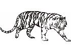  Cats Big Lions Tigers Panthers 0 5 5 Decal