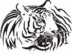  Cats Big Lions Tigers Panthers 0 6 1 Decal