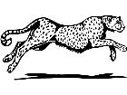  Cheetah Run Decal