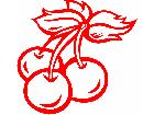  Cherry Trio Decal