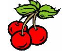  Cherry Trio C L 1 Decal
