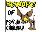  Chihuahua Beware S G 1 Decal