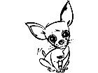  Chihuahua Cute Decal