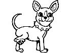  Chihuahua Pisser Decal