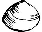  Clam 1 4 0 V A 1 Decal
