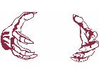  Claws Decal