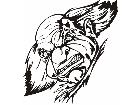  Clowns Jokers Detailed 0 0 7 Decal