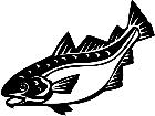  Cod Fish 1 4 1 V A 1 Decal