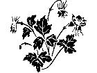  Columbine 1 5 4 V A 1 Decal