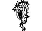  Conch Shell 1 8 0 V A 1 Decal