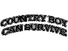  Country Boy Survive 2 Decal