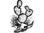 Cow Skull Cactus Decal