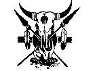  Cow Skull Indian Feathers 2 2 8 V A 1 Decal
