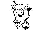 Cow Surprise Decal