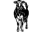  Cows Jersey 3 1 3 3 V A 1 Decal