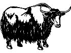  Cows Yak 1 3 3 V A 1 Decal
