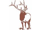  Deer Buck 0 1 Decal