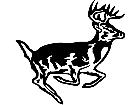  Deer Buck 0 2 Decal