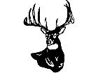  Deer Buck 0 3 Decal