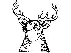  Deer Buck 0 4 Decal