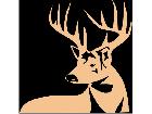  Deer Buck 0 5 Decal