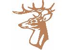  Deer Buck 0 6 Decal