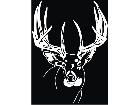  Deer Buck 0 7 Decal