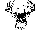  Deer Buck 1 0 Decal