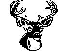  Deer Buck 1 1 Decal