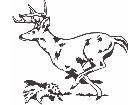  Deer Buck Running Decal