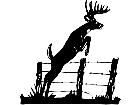  Deer Fence Decal