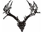  Deer Skull 2 Decal