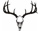  Deer Skull 3 Decal