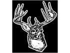  Deer Taxidermy Detail Decal