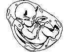  Devil Embryo 0 1 Decal