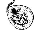  Devil Embryo 0 2 Decal
