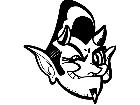  Devil Winker Decal