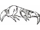  Dinosaurs Toonish 0 0 7 Decal