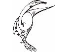  Dinosaurs Toonish 0 1 2 Decal