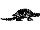  Dinosaurs Meiolania 1 3 5 V A 1 Decal