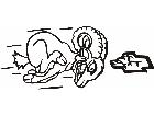  Dodge Ram Chevy Decal