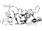  Dog Sniffer Decal
