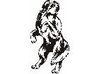 Dogs Misc Art 0 3 5 Decal