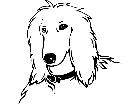  Dogs Afghan P A 1 Decal