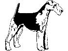  Dogs Airdale Terrier 1 3 7 V A 1 Decal