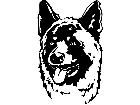  Dogs Akita P A 1 Decal