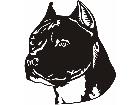  Dogs American Strafordshire D R P A 1 Decal